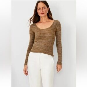 NWT Ann Taylor Sparkle Scoop Neck Long Sleeve Sweater Size Medium